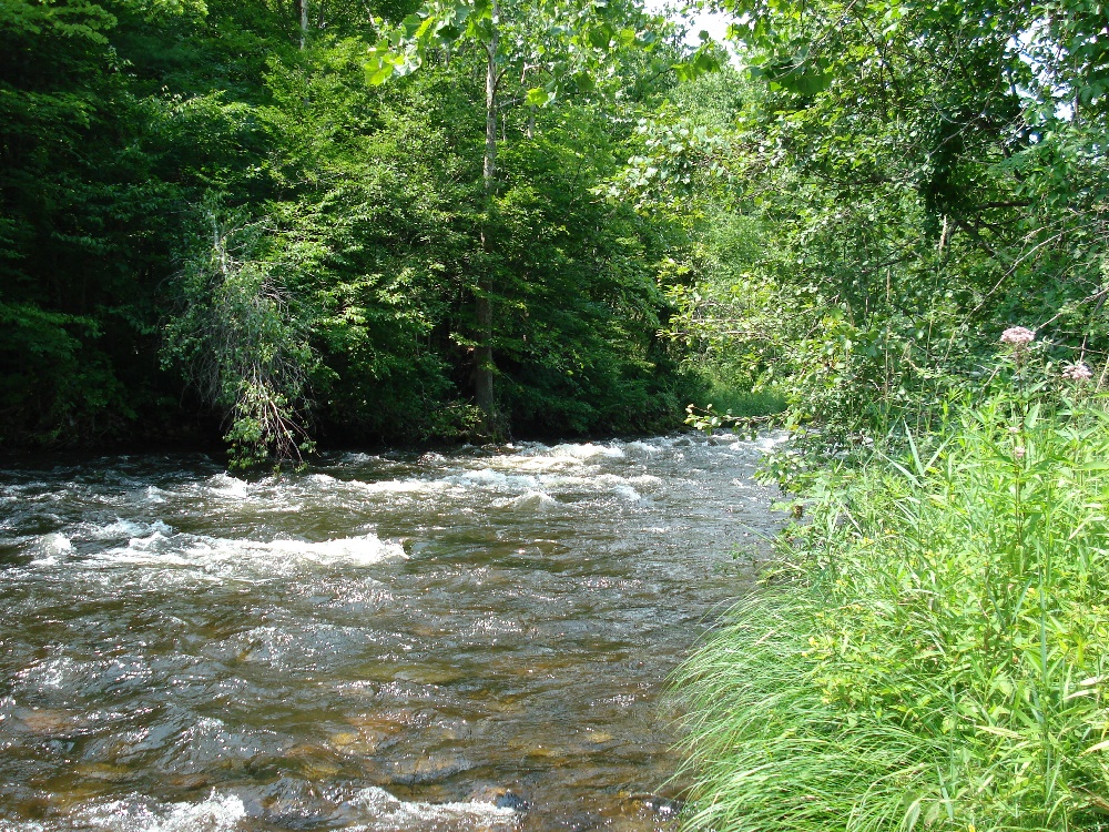 West Branch Farmington River