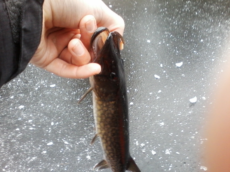 first fish through the ice