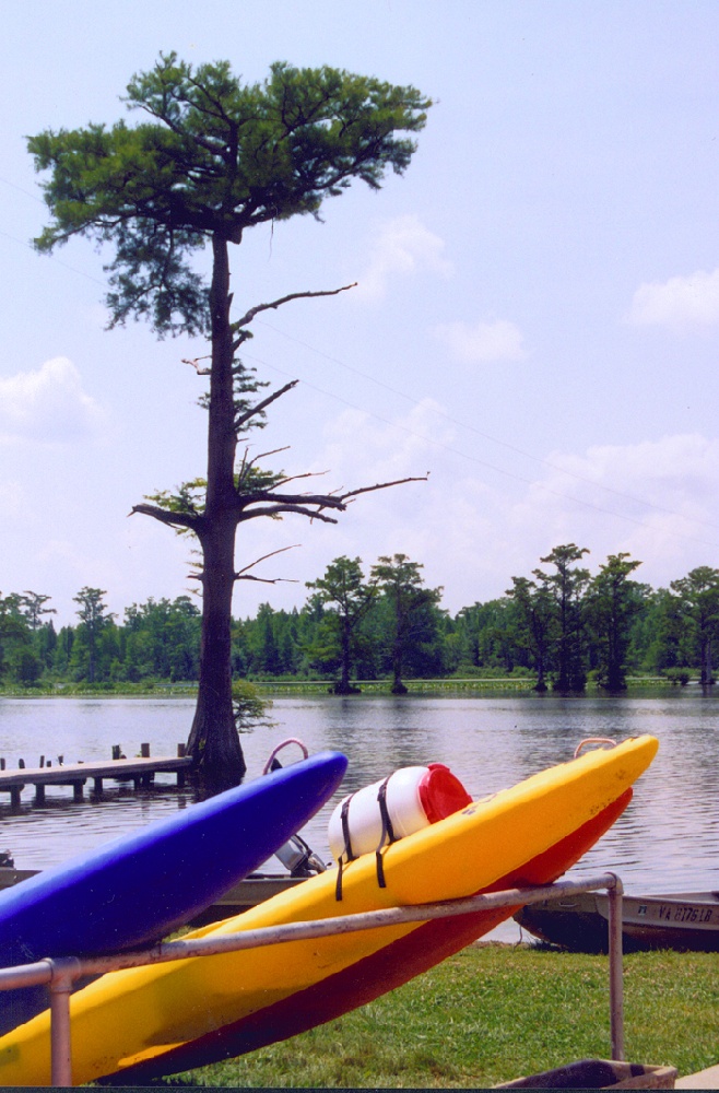 Kayaks at Chickahominy Lake by Terri Aigner