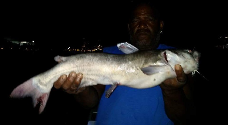 Night fishing the Delaware river 