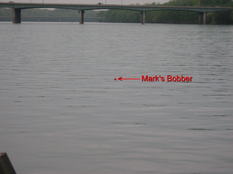Mark's bobber