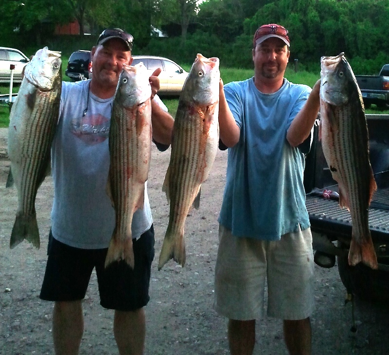 CT river stripers