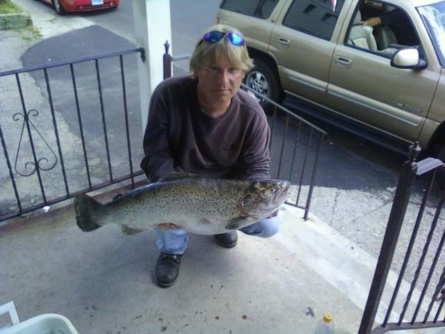 State record trout