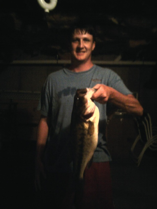 The Lunker