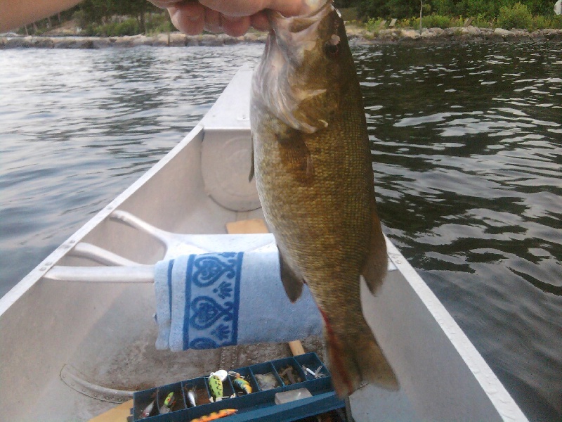 My 1st Smallmouth Bass Ever!