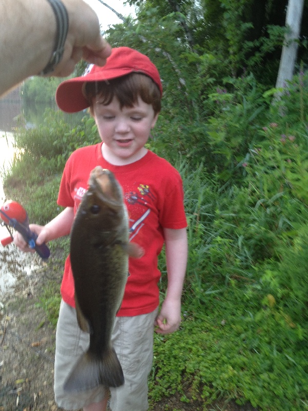 Little Boy Big Fishy