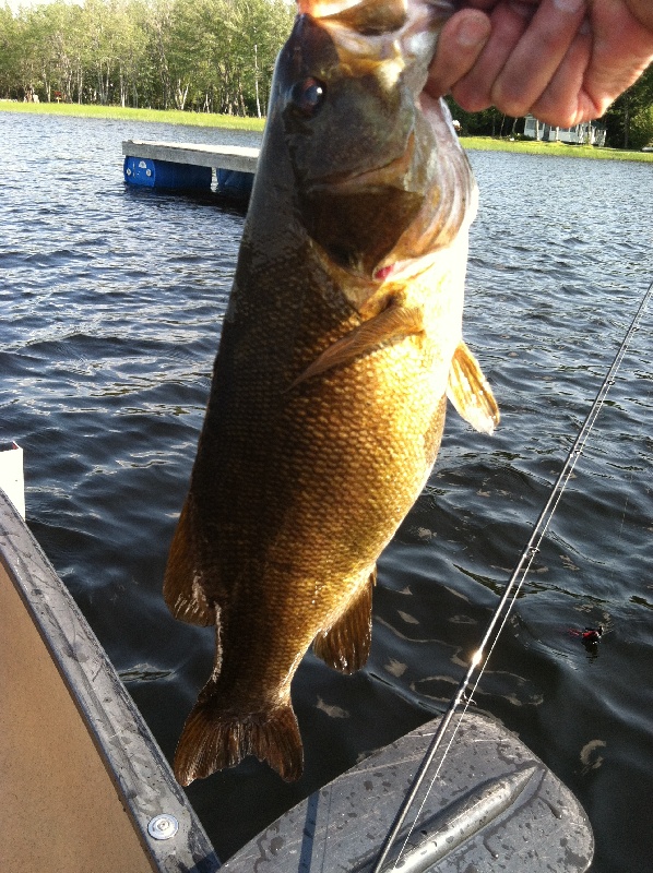 3.58 pound Lake Webb smallie