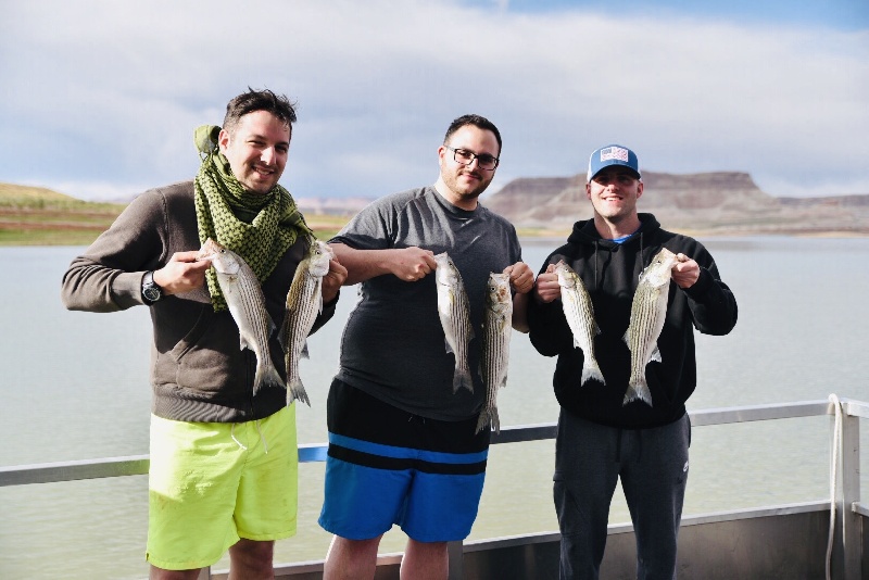 Sping Stripers on Lake Powell