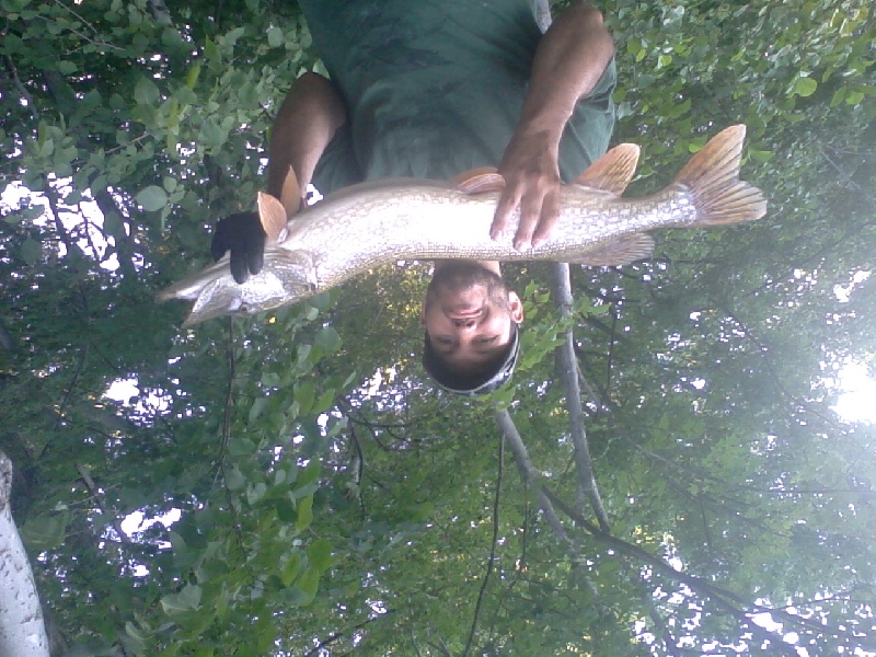 pike season is the happiest time of year :D 