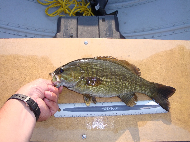 Small mouth