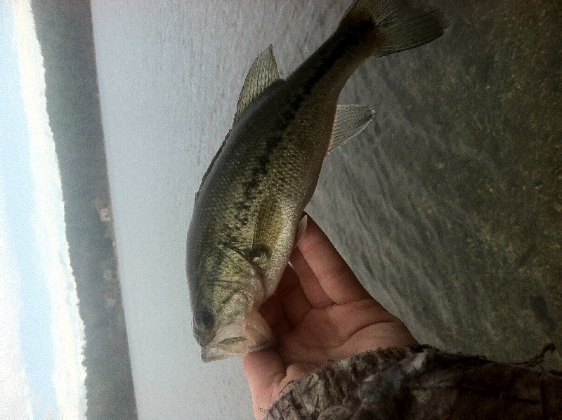 First fish of the day!