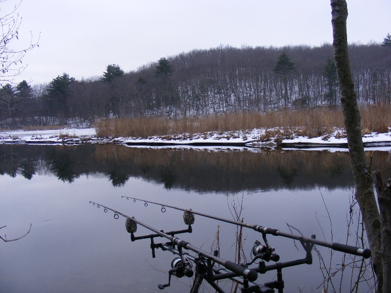 Rice City Pond