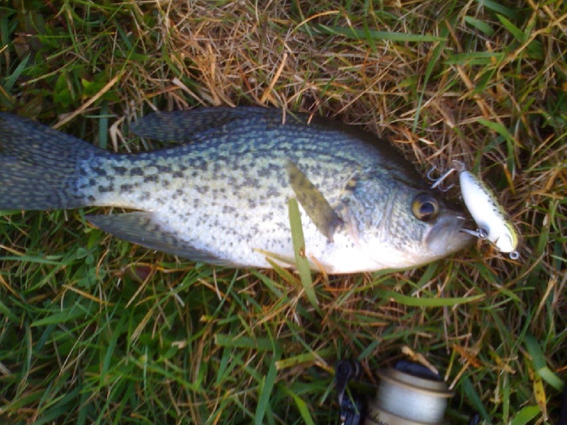 First Crappie