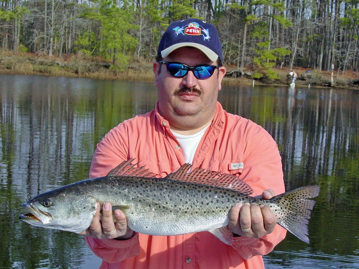 Darren citation speckled trout