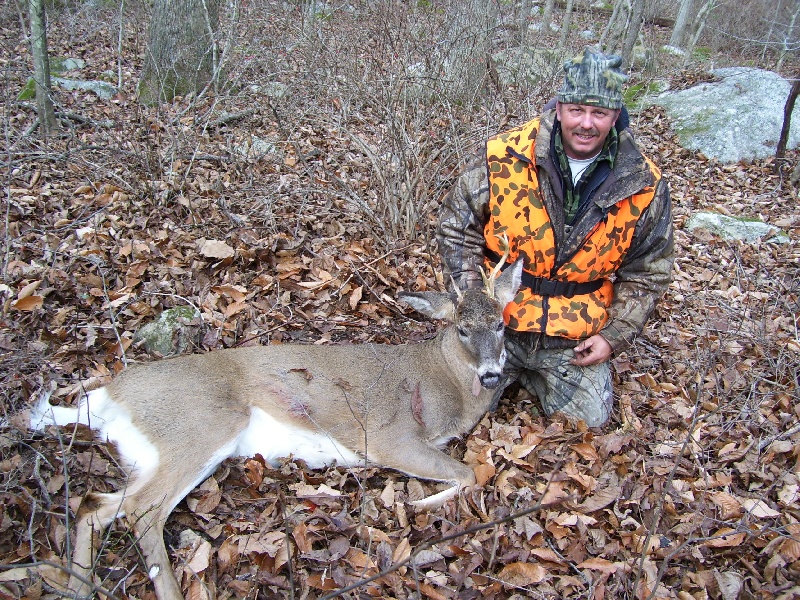 5 pointer state lad 2008