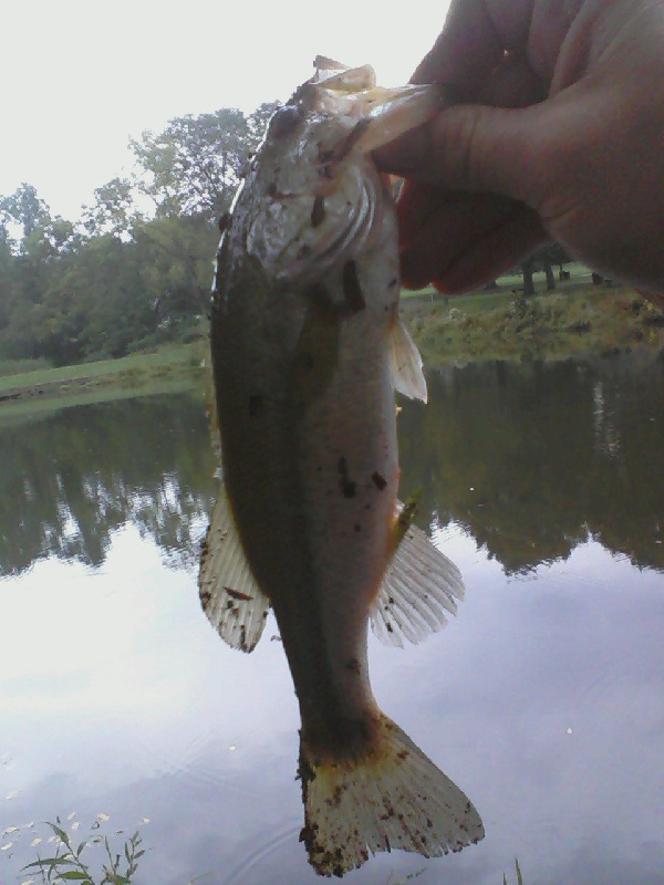 2nd fish o the day