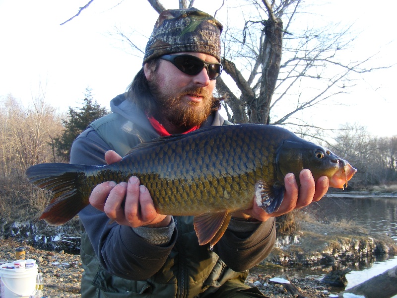 small common mid december