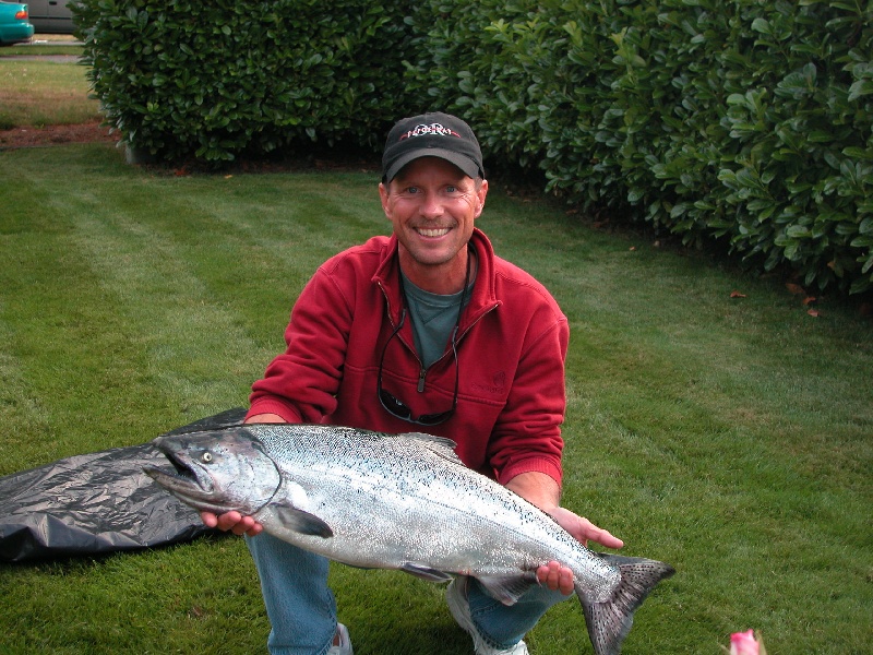 Puget Sound King Salmon