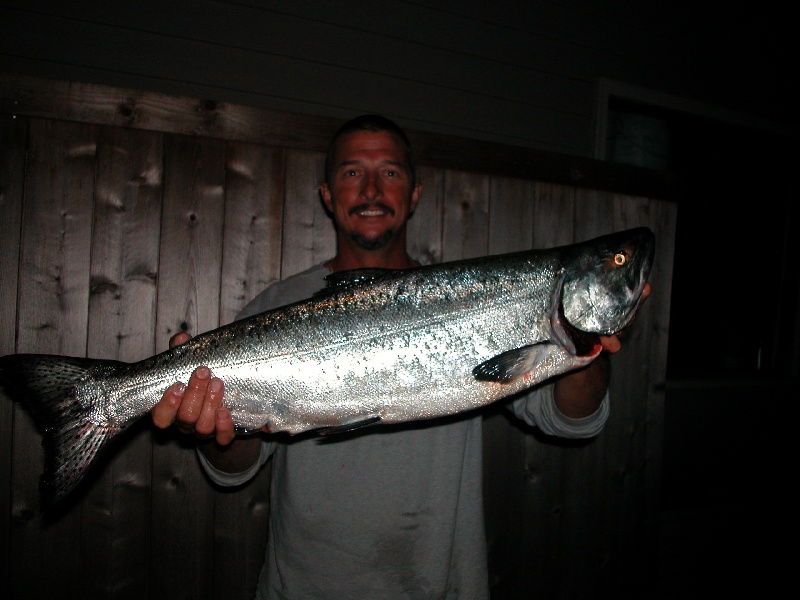 Perry's King Salmon
