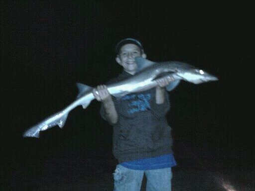 My son caught this sand shark all on his own!