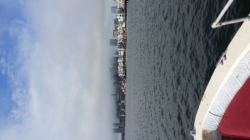 fog over the harbor
