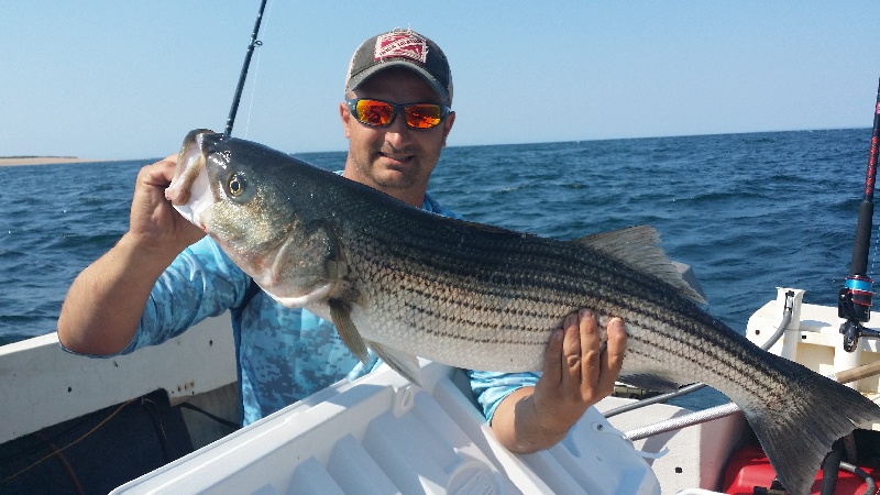 race point stripers