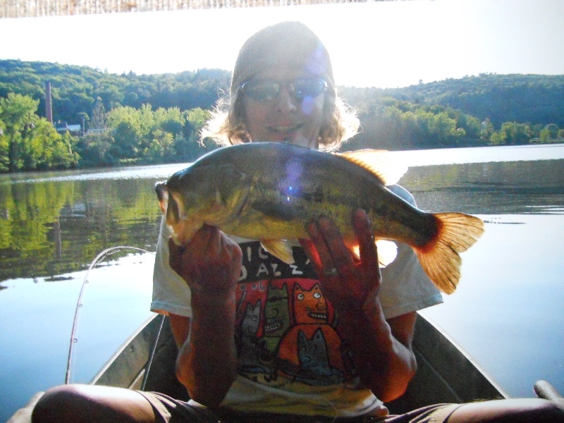 5lb+ Large Mouth Bass