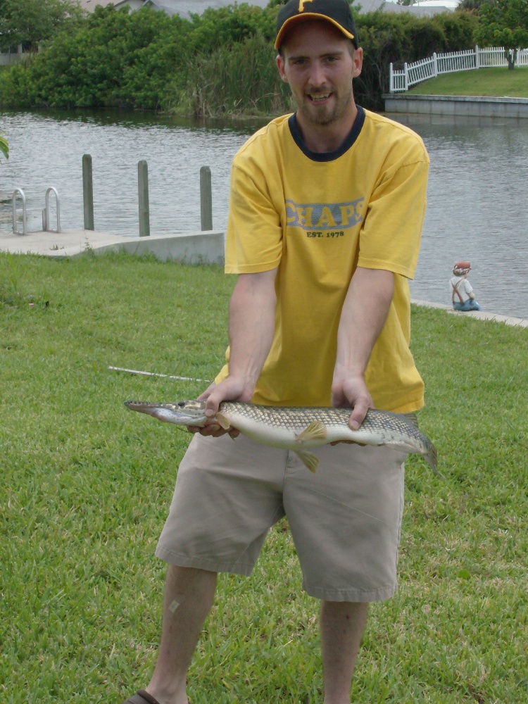 South West Florida Alligator Gar