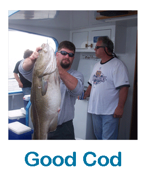 Good Atlantic Cod