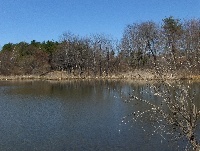 Bare Meadow Pond 2