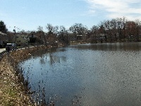 Bare Meadow Pond 5