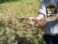 2nd shot of the Pickerel