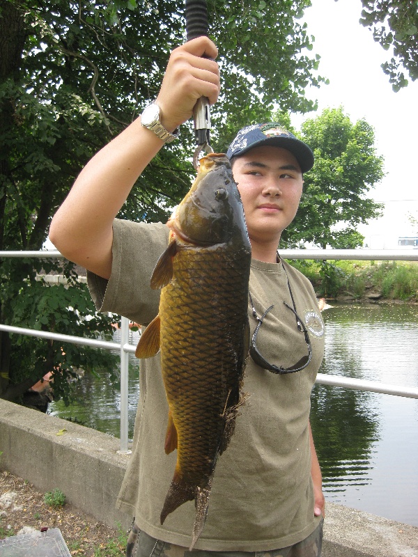 carp in the malden river