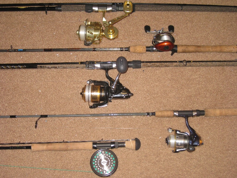 favorite fishing rods