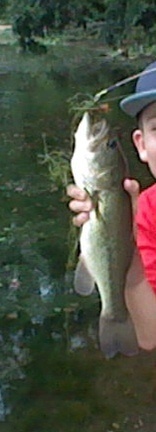 Fat bass that I caught at alycon