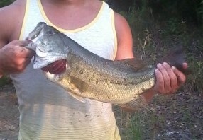 Lake Audrey 18 inches