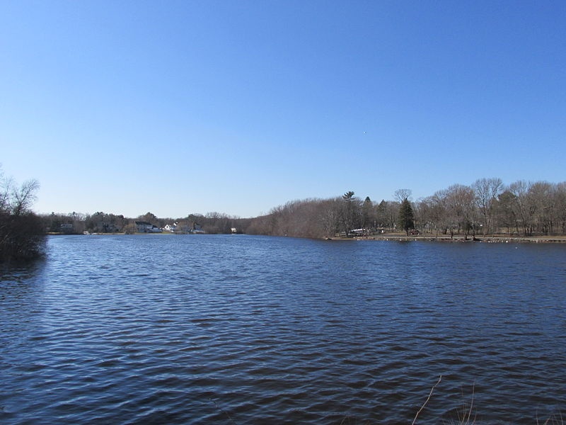 Reeds Pond