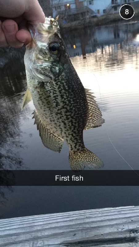 Crappie @ hardy pond