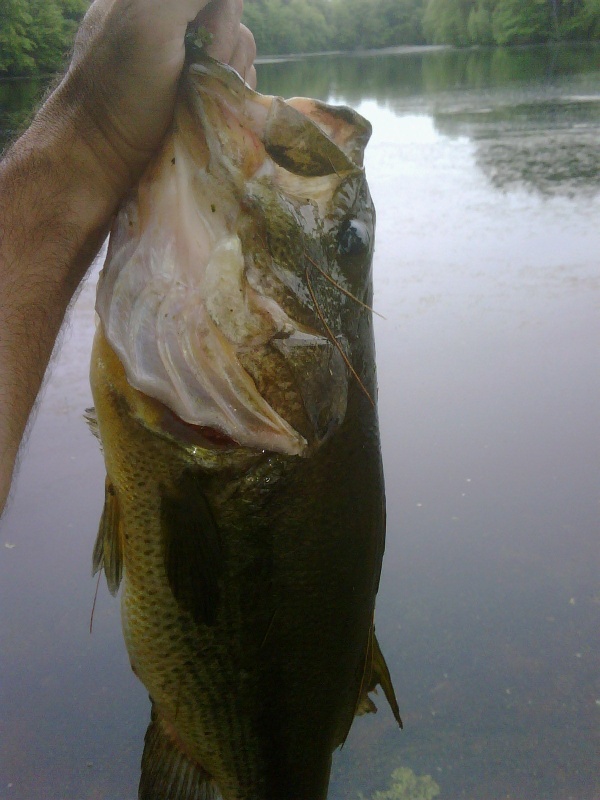05-21-2012 Catch of the Day