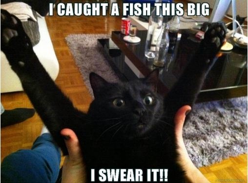 I caught that big fish!
