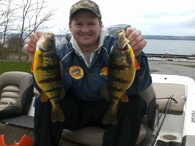two monster perch near Cayuga