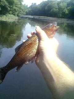 First fall fish ever