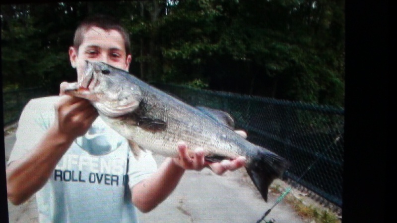 17 inch large mouth bass 3 lbs