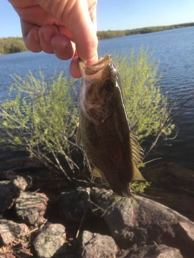 Baby Large Mouth