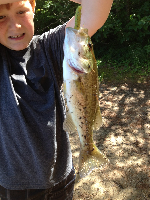 big bass at spot pond