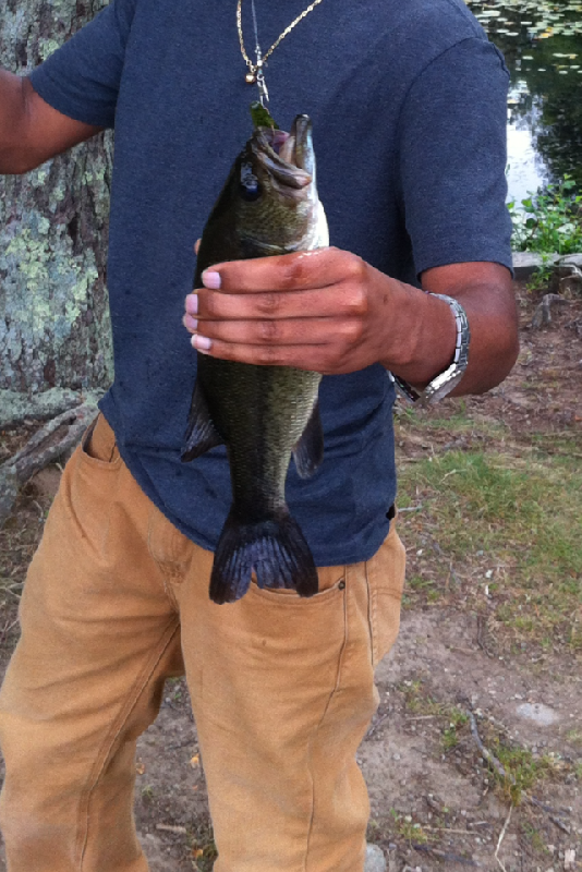 caught a 10" bass in a little pond