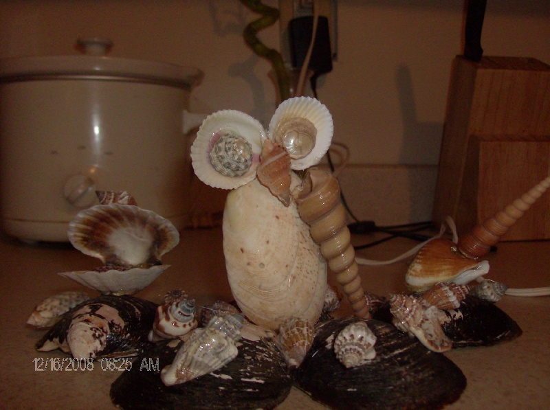 is made whit puerto rico shells
