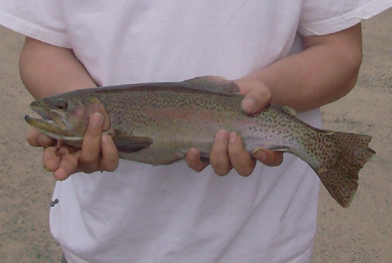 1 first trout fo the opening season