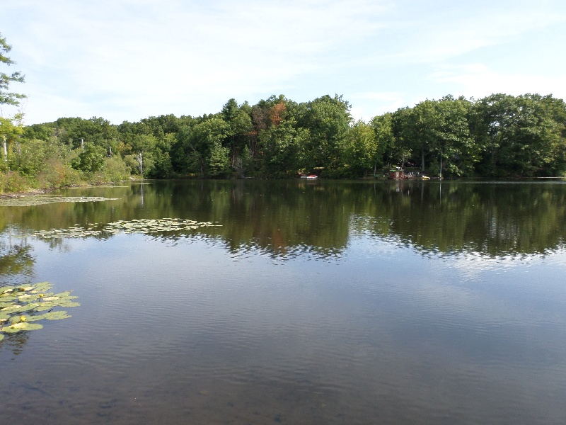 South Meadow Pond
