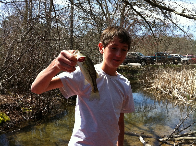 Stream fishing 2012